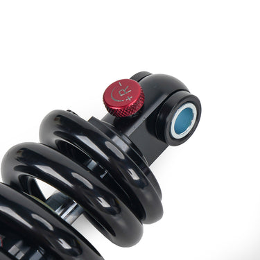 Adjustable Hydraulic Suspension for Daytona